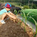 마이산 흑염소 농장 이미지