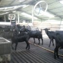 춘양농장 이미지