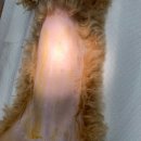 키다리아저씨 동물병원 이미지