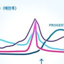 참행복한약국 이미지