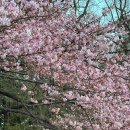 여행 일본어 회화(직장인반) | [일본어공부] 일본어 과외 후기(여행회화 추천)