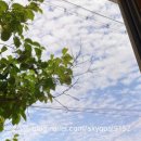 한사랑재활의학과의원 이미지