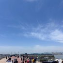 성일호 | 오이도항수산물직매장, 오이도 난전시장 (성일호) 2번째 방문후기 #내돈내산