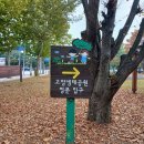 대화천