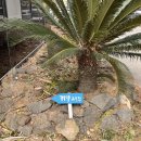 힐링카약파크비체올린 | 제주 비체올린 특별했던 카약 체험과 힐링 타임