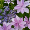 바다전망대 이미지