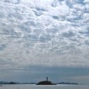 사궁두미 479 이미지