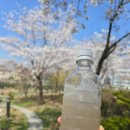 삼덕공원 티스토리