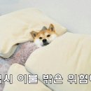 3개월차 초보 살세라 일기: 내생에 첫 턴Turn 후기 (토요일, 일요일)
