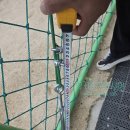 양지초등학교 이미지