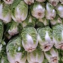 곰소농장 이미지