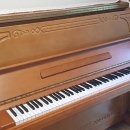 우신상회 이미지