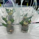 대원스크린골프 | 수원 파장동 꽃집 초등학교 방학 2주 차 원예 수업 후기🪴행운목수경재배(쥬아드플라워스튜디오)