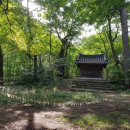 용소막농장 이미지