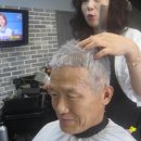 위양지 관광농원 Daum카페