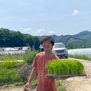 기창농장 | [우리 쌀·밀·콩 생산자를 만나다] 전국 한살림 매장에서 각 지역의 토종쌀을 만나는 상상