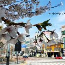 더타이어샵 고잔점 이미지