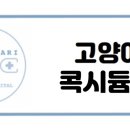 다산마리동물병원 이미지