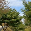 누리별 캠핑장 이미지