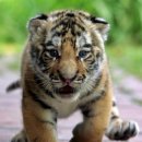 한일종합수도 이미지