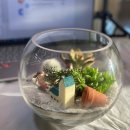 부천서초등학교병설유치원 이미지