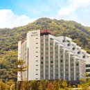 정선바로서비스 이미지