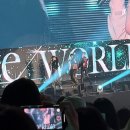 조인리듬체조 | 2023 샤이니콘서트 'SHINee WORLD VI [PERFECT ILLUMINATION]' 첫콘 후기(체조경기장 13구역 시야)