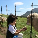 청명목장 이미지