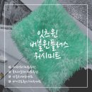 워시미트추천/세차미트 : 잇츠윈 ‘버블윈 플러스 워시미트’ 부드러운 재질로 깨끗하게 세차