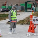 이영재농장 이미지