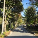 솔밭공원 이미지