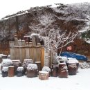 마마스팜 영농조합법인 이미지