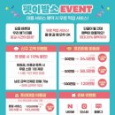 더펫미용실 이미지