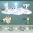 요한머리나라