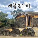 조끄띠 | 제주도 애월 숙소 독채펜션 조끄띠 스테이곁 D동 후기