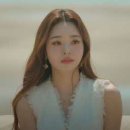 프리지아 이미지