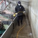 봉영농장 이미지