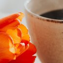 자기 연민 이미지