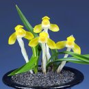 화순 하니움문화스포츠센터 체육관 이미지