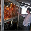 하영농장 이미지