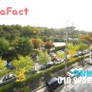 더포레스트빌 이미지