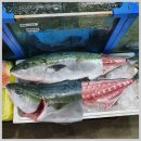 삼원수산 네이버블로그