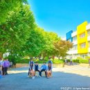 안성중학교 이미지