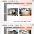 신흥2 이미지