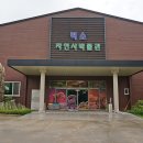 덕소자연사박물관 이미지