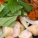 쭈꾸미도사 이미지