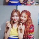 해인이네 이미지