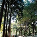 민 민박 이미지