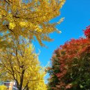논산시치매안심센터 | 강남구 치매안심센터, 직접 다녀와봤어요 - 1편