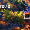 굿모닝 여행사 - 아산시 | 굿모닝 여행사